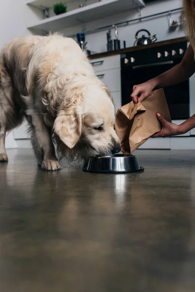 Cropped view of woman pouring pet food in bowl to golden retriever dog — Stock Photo