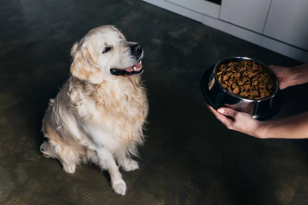 Vue recadrée de la femme tenant bol avec nourriture pour animaux de compagnie près de chien adorable golden retriever — Photo de stock