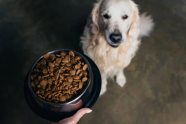 Vista recortada de mujer sosteniendo tazón con comida para mascotas cerca adorable perro golden retriever - foto de stock