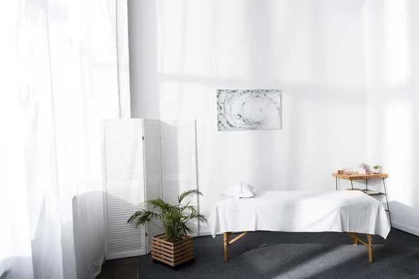 Green plant near massage table in cozy clinic in sunny day — Stock Photo