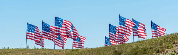 Tiro panorâmico de bandeiras americanas na grama verde contra o céu azul — Fotografia de Stock