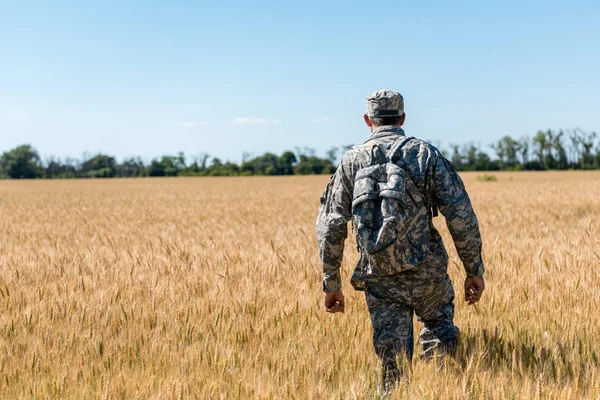 Vue arrière de l'homme militaire avec sac à dos debout dans le champ avec du blé — Photo de stock