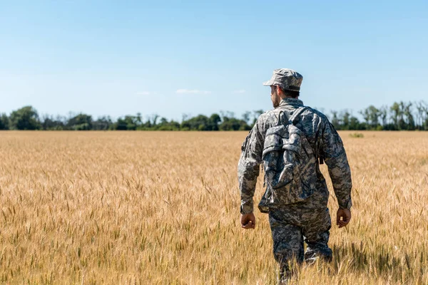 Militaire avec sac à dos debout dans le champ avec du blé — Photo de stock