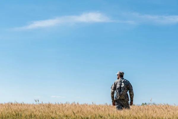 Military man with backpack standing in field with golden wheat — Stock Photo