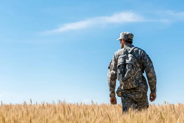 Soldat in Militäruniform mit Rucksack steht im Feld mit goldenem Weizen — Stockfoto