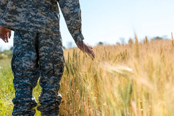 Cropped view of military man touching wheat in golden field — Stock Photo