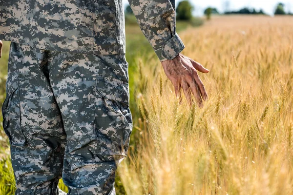 Selektiver Fokus des Soldaten, der Weizen im goldenen Feld berührt — Stockfoto