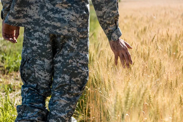 Vue recadrée d'un soldat en uniforme militaire touchant du blé dans un champ doré — Photo de stock