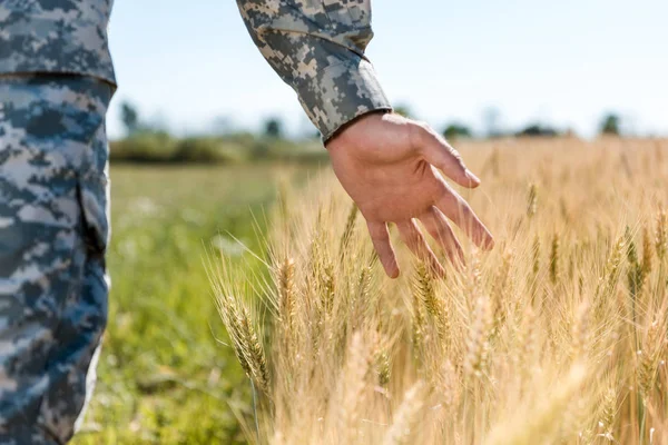 Vista recortada de soldado tocando trigo en el campo de oro - foto de stock