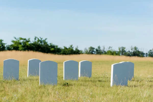 Headstones on green grass and blue sky in graveyard — Stock Photo