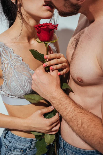 Corte vista de casal beijando enquanto segurando rosa vermelha — Fotografia de Stock