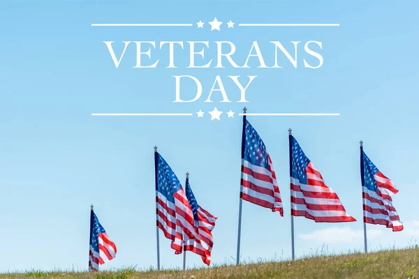 National american flags on green grass against blue sky with veterans day illustration — Stock Photo