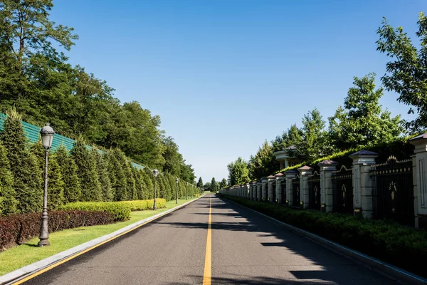 Sombras en la carretera cerca de árboles verdes con hojas en verano - foto de stock