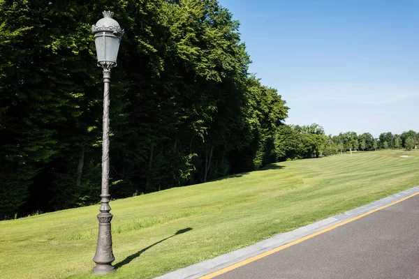 Вулична лампа на зеленій свіжій траві біля дерев і блакитного неба — стокове фото