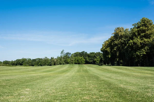 Alberi con foglie verdi su erba verde contro cielo blu con nuvole — Foto stock