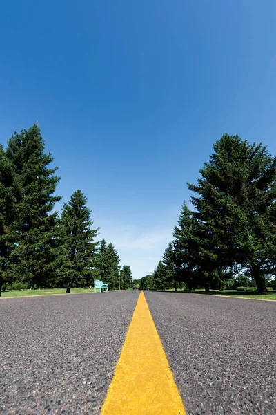 Селективный фокус дороги с желтой линией рядом с зелеными деревьями с листьями летом — стоковое фото