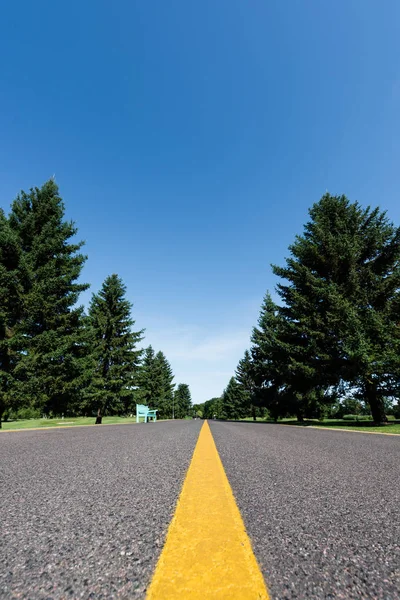 Foyer sélectif de la route avec ligne jaune près des arbres verts avec des feuilles en été — Photo de stock