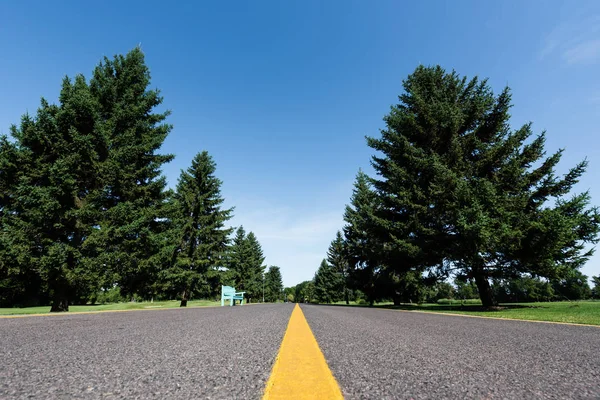 Low angle view of road with yellow line near green trees with leaves in summer — Stock Photo