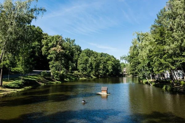 Тіні на ставку з водою біля зелених дерев у парку — стокове фото