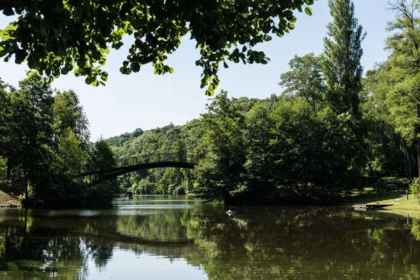 Selective focus of green leaves on trees in park with lake — Stock Photo
