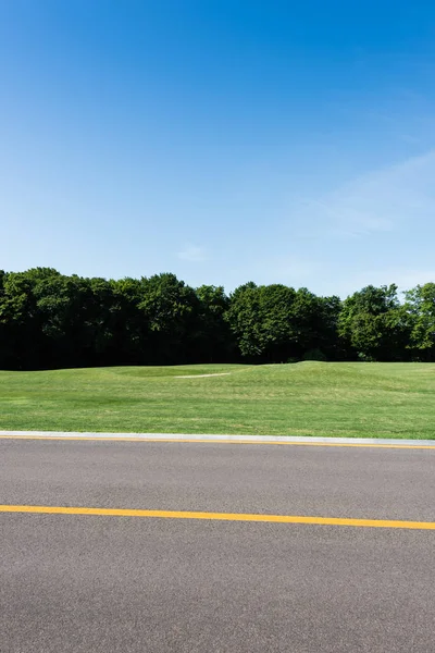 Вибірковий фокус жовтої лінії на дорозі біля зеленого парку в літній час — стокове фото