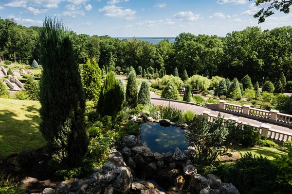 Green plants and trees near pond against blue sky with clouds — Stock Photo