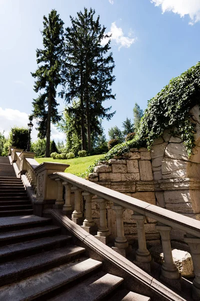 Ombres sur des escaliers en béton blanc près de plantes aux feuilles vertes — Photo de stock