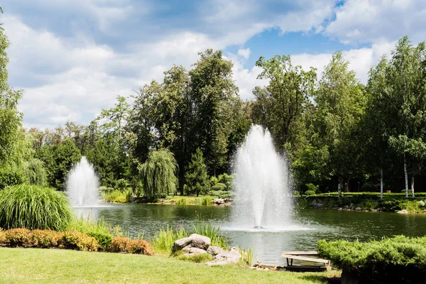 Pflanzen auf grünem Gras am Teich mit Springbrunnen und Bäumen — Stockfoto