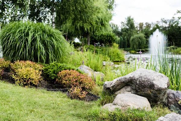 Selective focus of green grass with stones near pond with fountain — Stock Photo