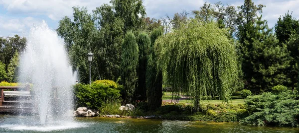 Colpo panoramico di fontana in stagno vicino a alberi verdi e piante su erba — Foto stock