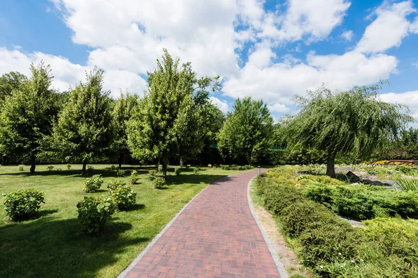 Sombras sobre hierba verde con arbustos y árboles en el parque - foto de stock