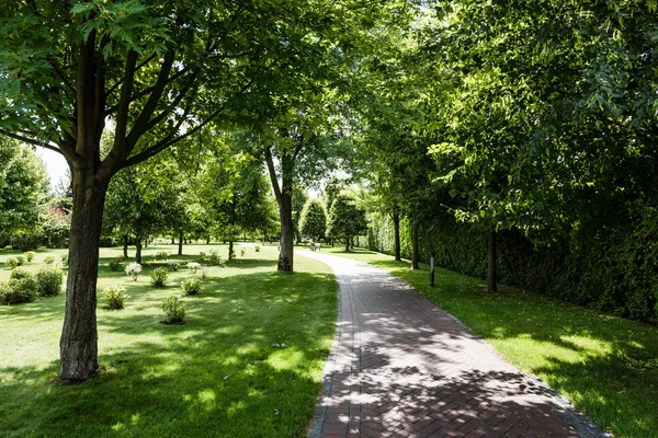 Sombras sobre hierba verde con arbustos y árboles cerca del camino en el parque - foto de stock