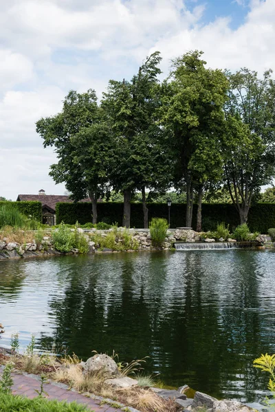 Селективный фокус пруда возле зеленых деревьев и камней — стоковое фото