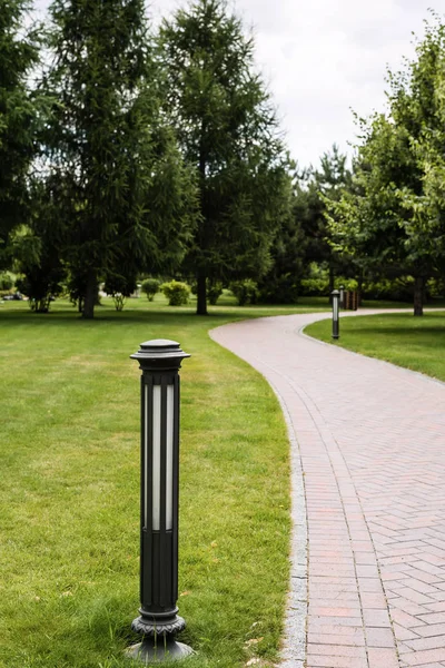 Selective focus of outdoor lamp near walkway and trees on green grass — Stock Photo