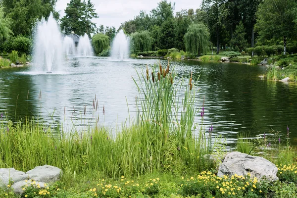 Selective focus of reeds near stones and pond with fountains — Stock Photo