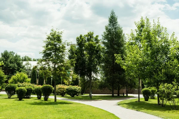 Ombres sur herbe verte fraîche près des arbres contre le ciel et les nuages — Photo de stock