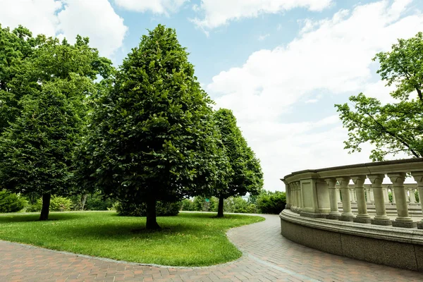 Arbres verts sur herbe fraîche contre ciel bleu avec des nuages — Photo de stock