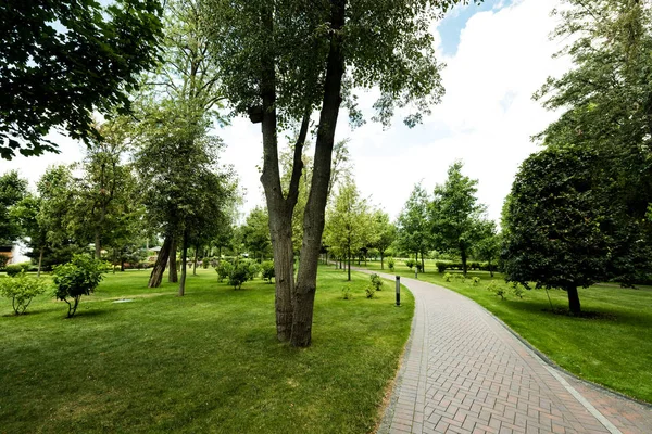 Sentier près des arbres verts sur l'herbe fraîche contre le ciel avec des nuages — Photo de stock