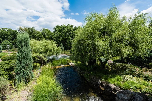 Каміння біля озера та зелених дерев зі свіжим листям у парку — стокове фото