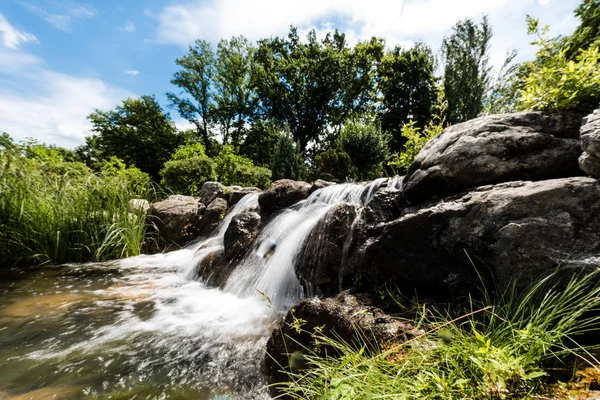 Vapore con acqua che scorre su pietre bagnate vicino a alberi verdi nel parco — Foto stock