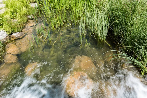 Río con agua limpia que fluye cerca de rocas y hierba - foto de stock