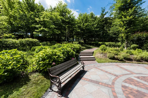 Wooden bench near bushes and green trees on grass in park — Stock Photo