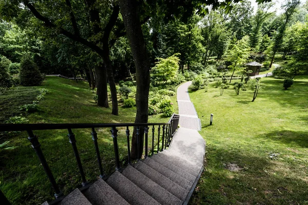 Escaleras de hormigón cerca de la pasarela y árboles verdes en la hierba - foto de stock