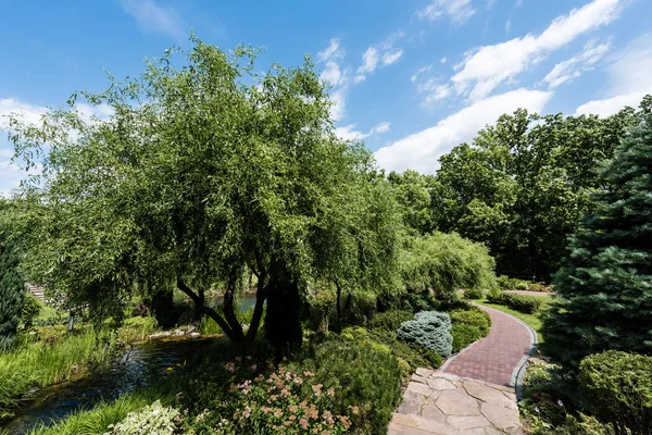 Sentier près des arbres et des buissons verts sur l'herbe contre le ciel bleu avec des nuages blancs — Photo de stock