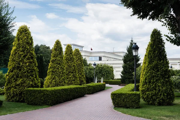 Дорожка, фонарь и зеленые елки рядом с белым домом — стоковое фото