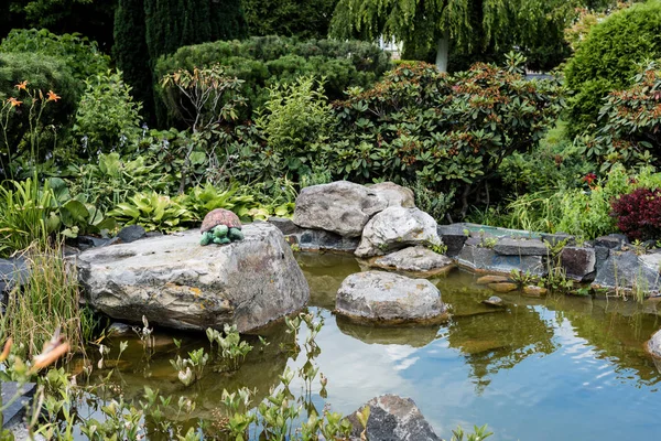 Piedras mojadas en el estanque con agua cerca de arbustos verdes en el parque - foto de stock