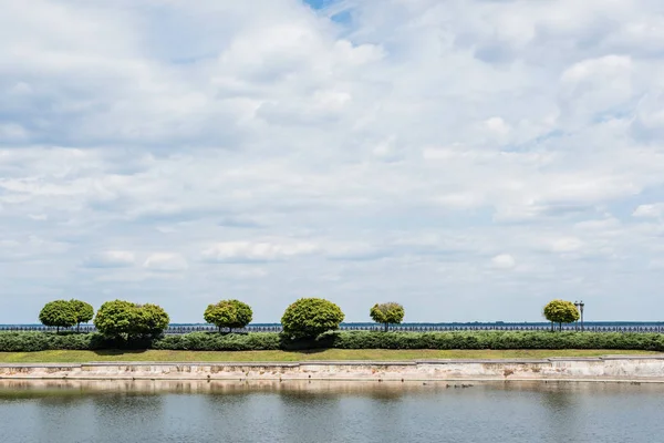 Árboles verdes cerca del lago contra el cielo con nubes en verano - foto de stock