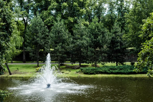 Alberi verdi con foglie fresche vicino fontana in stagno — Foto stock