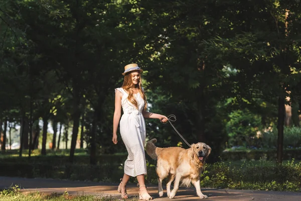 Piena vista lunghezza di bella ragazza in abito bianco e cappello di paglia a piedi con golden retriever e guardando altrove — Foto stock