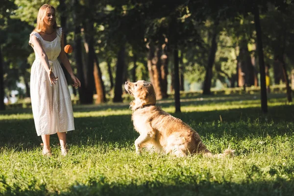 Full length view of beautiful girl in white dress playing with golden retriever on meadow — Stock Photo